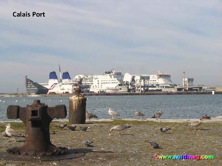 Calais Port 