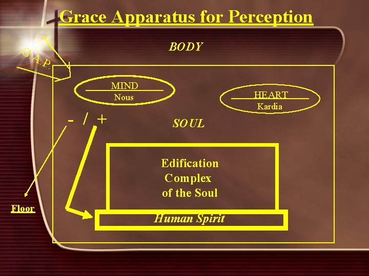 Grace Apparatus for Perception BODY G. A. P. MIND HEART Nous - / +