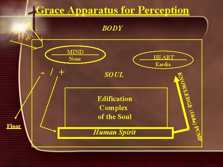 Grace Apparatus for Perception BODY G. A. P. MIND HEART Nous SOUL Oida MP