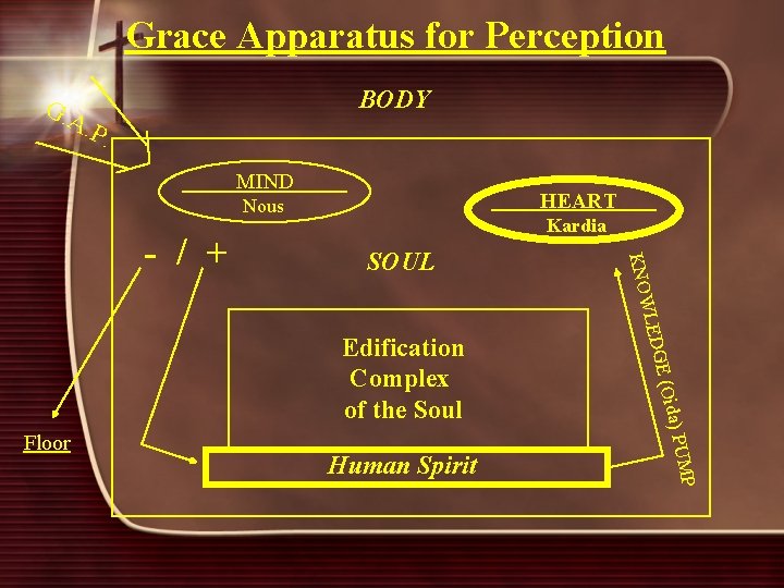 Grace Apparatus for Perception BODY G. A . P. MIND HEART Nous SOUL Floor