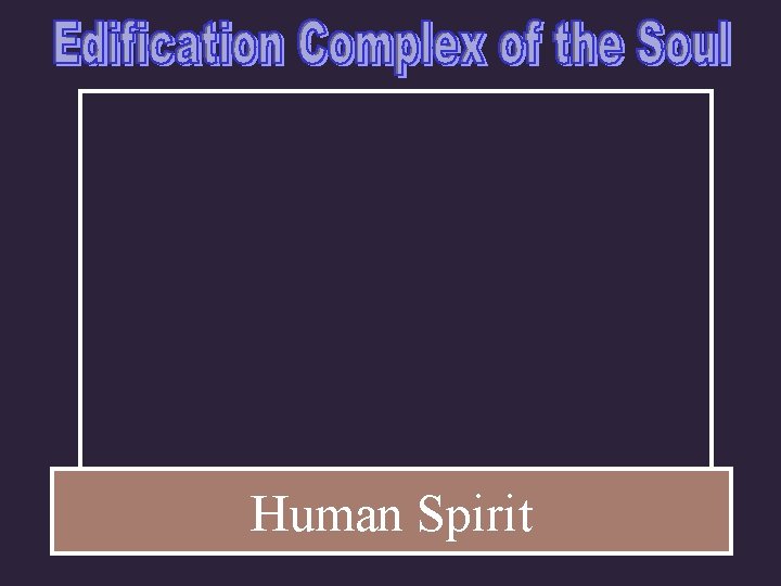 Human Spirit 