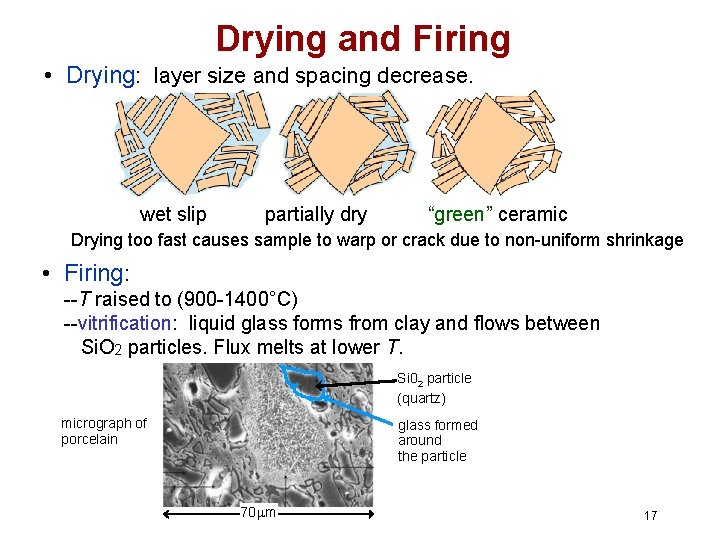 Drying and Firing • Drying: layer size and spacing decrease. wet slip partially dry