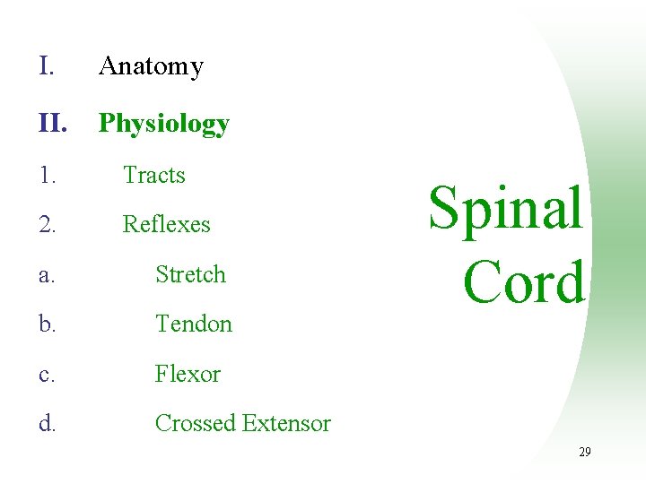I. Anatomy II. Physiology 1. Tracts 2. Reflexes a. Stretch b. Tendon c. Flexor