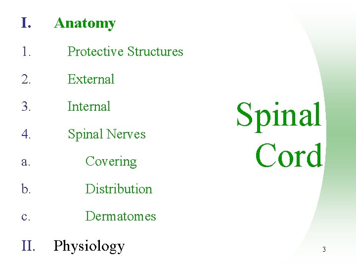 I. Anatomy 1. Protective Structures 2. External 3. Internal 4. Spinal Nerves a. Covering