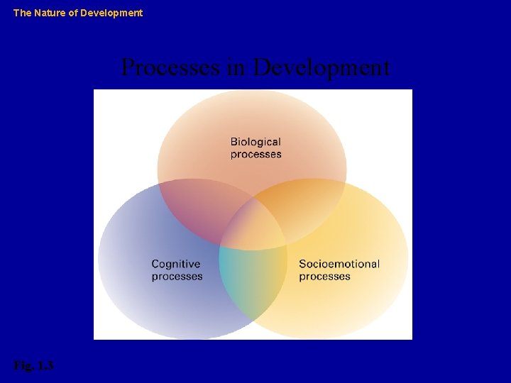 The Nature of Development Processes in Development Fig. 1. 3 