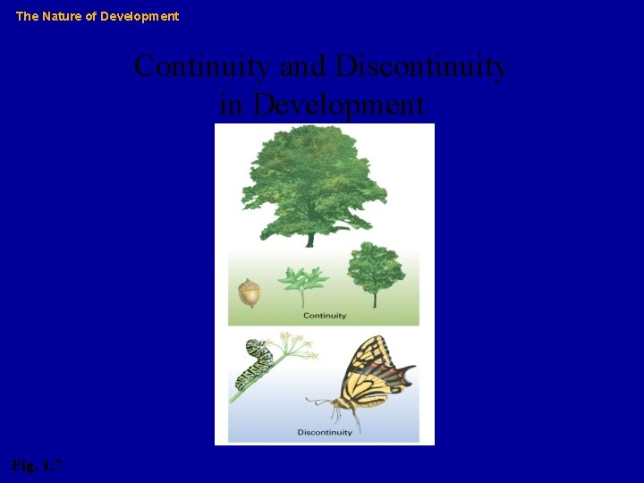 The Nature of Development Continuity and Discontinuity in Development Fig. 1. 7 