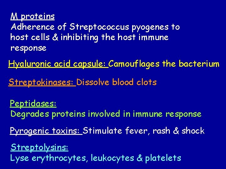 M proteins Adherence of Streptococcus pyogenes to host cells & inhibiting the host immune