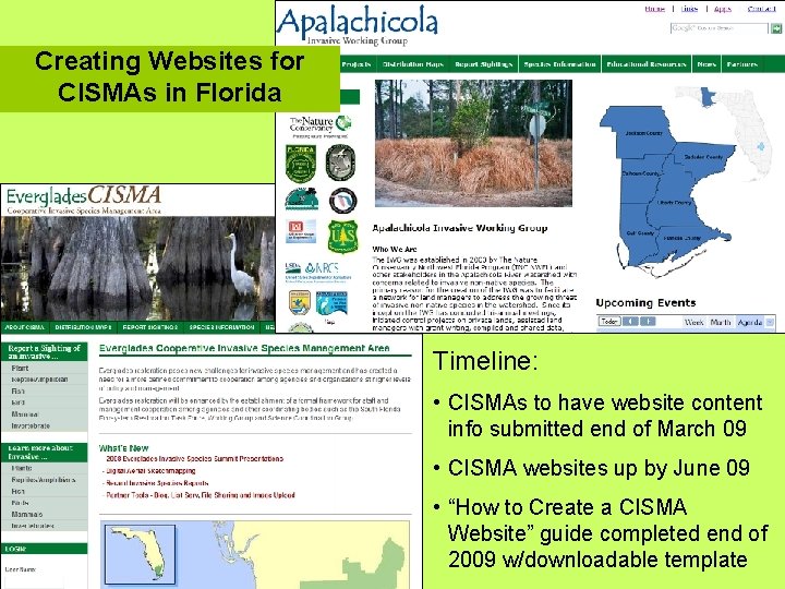 Creating Websites for CISMAs in Florida Timeline: • CISMAs to have website content info