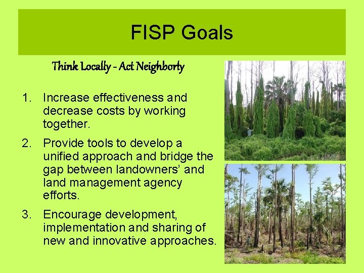 FISP Goals Think Locally - Act Neighborly 1. Increase effectiveness and decrease costs by