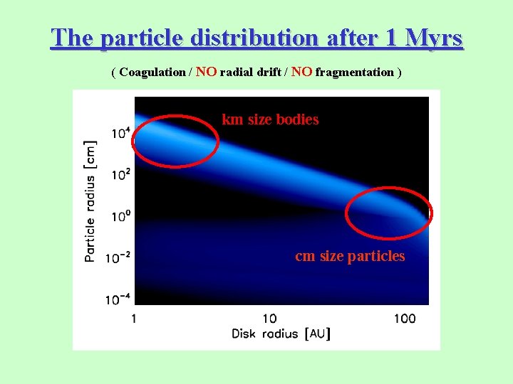 The particle distribution after 1 Myrs ( Coagulation / NO radial drift / NO