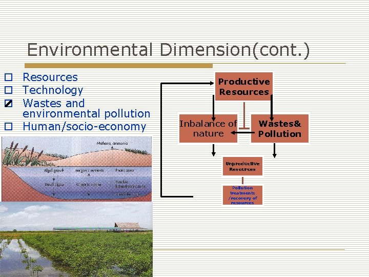 Environmental Dimension(cont. ) o Resources o Technology o Wastes and environmental pollution o Human/socio-economy