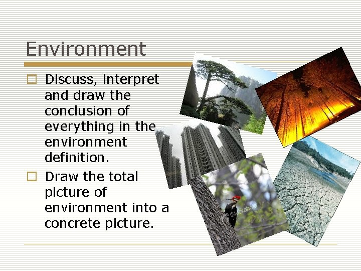 Environment o Discuss, interpret and draw the conclusion of everything in the environment definition.