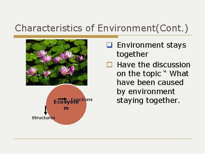 Characteristics of Environment(Cont. ) Functions Ecosyste m Structures q Environment stays together o Have