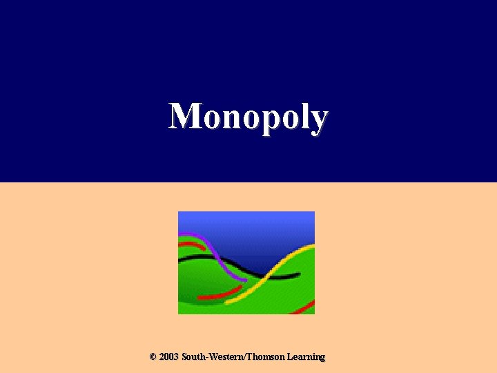Monopoly © 2003 South-Western/Thomson Learning Monopoly © 2003 South-Western/Thomson Learning