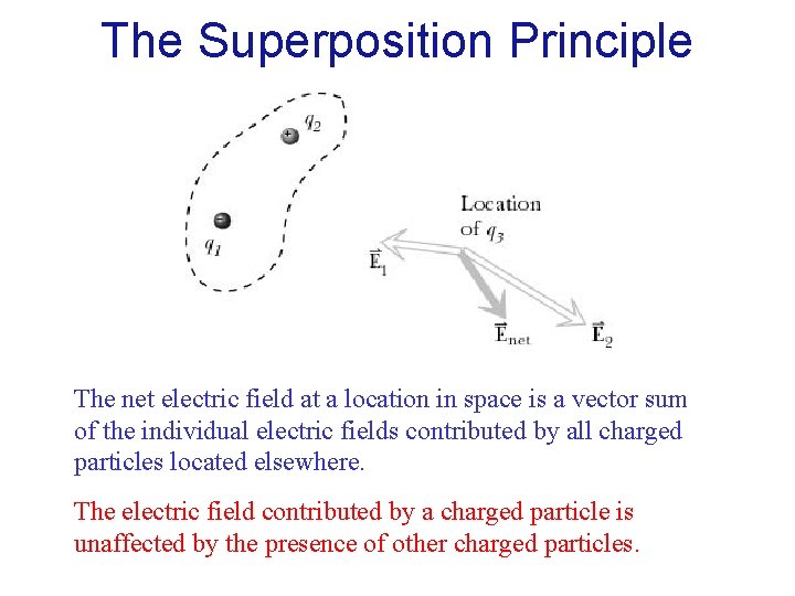 The Superposition Principle The net electric field at a location in space is a