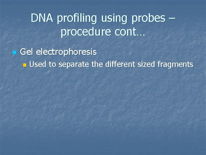DNA profiling using probes – procedure cont… n Gel electrophoresis n Used to separate