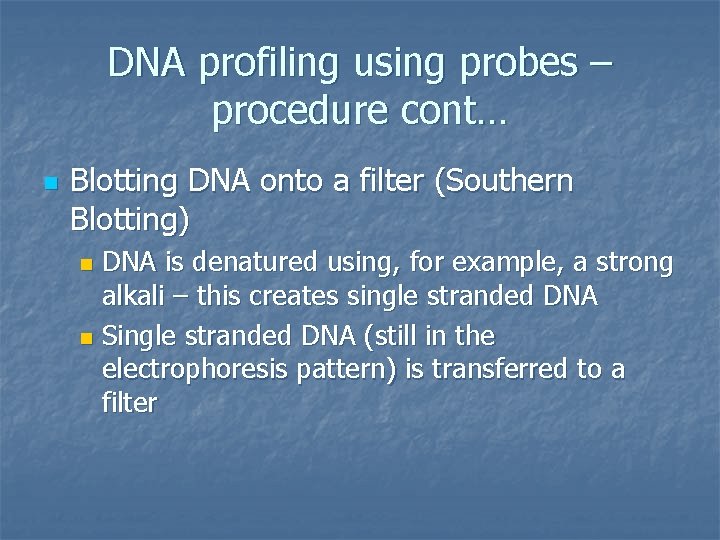 DNA profiling using probes – procedure cont… n Blotting DNA onto a filter (Southern