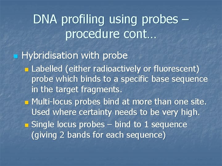 DNA profiling using probes – procedure cont… n Hybridisation with probe Labelled (either radioactively