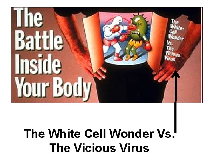 The White Cell Wonder Vs. The Vicious Virus 