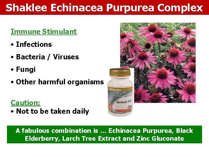 Shaklee Echinacea Purpurea Complex Immune Stimulant • Infections • Bacteria / Viruses • Fungi