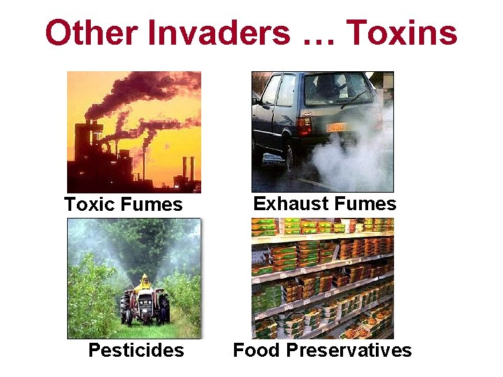 Other Invaders … Toxins Toxic Fumes Pesticides Exhaust Fumes Food Preservatives 