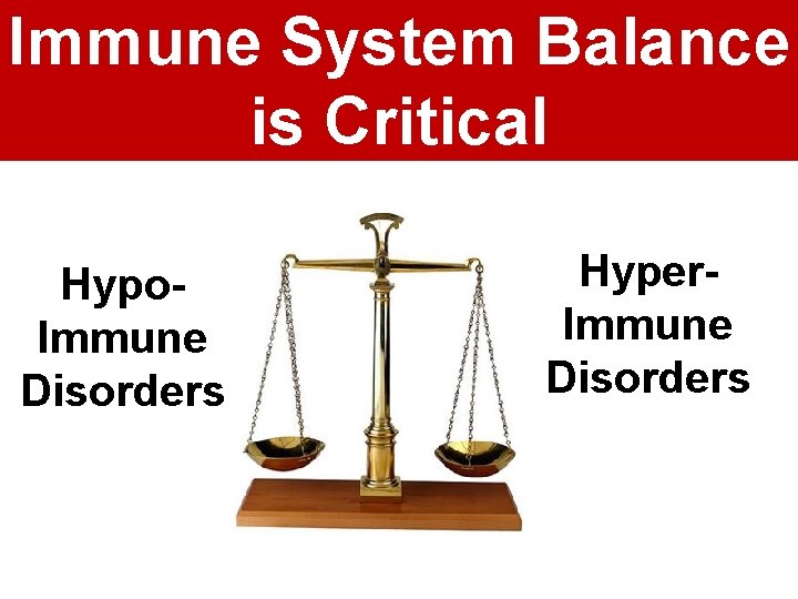 Immune System Balance is Critical Hypo. Immune Disorders Hyper. Immune Disorders 