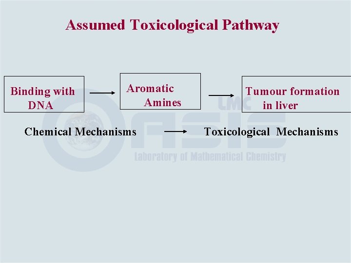 Assumed Toxicological Pathway Binding with DNA Aromatic Amines Chemical Mechanisms Tumour formation in liver