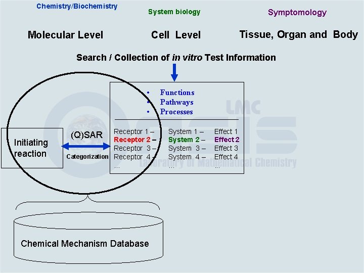 Chemistry/Biochemistry System biology Symptomology Cell Level Tissue, Organ and Body Molecular Level Search /