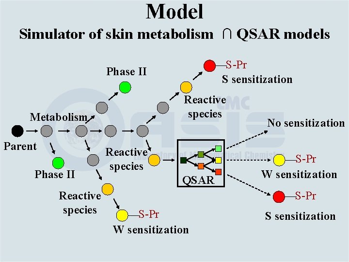 Model Simulator of skin metabolism ∩ QSAR models S-Pr S sensitization Phase II Reactive