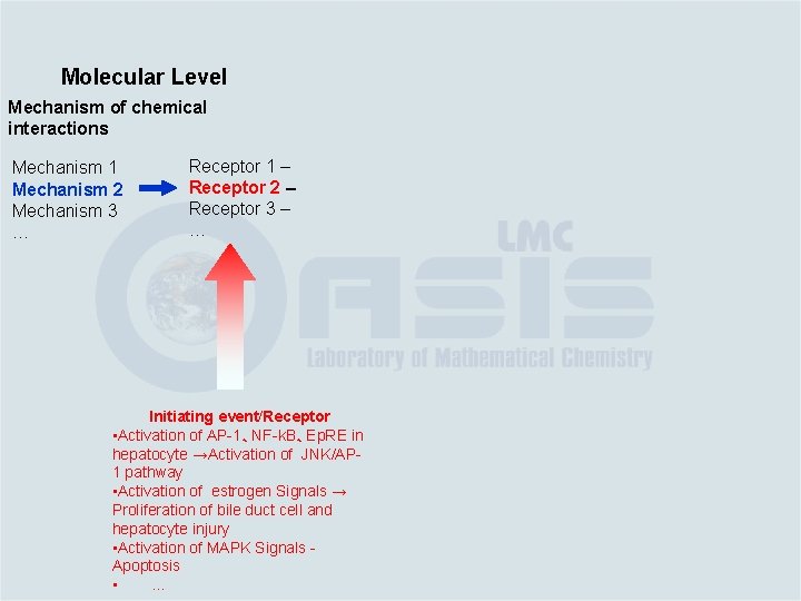 Molecular Level Mechanism of chemical interactions Mechanism 1 Mechanism 2 Mechanism 3 … Receptor