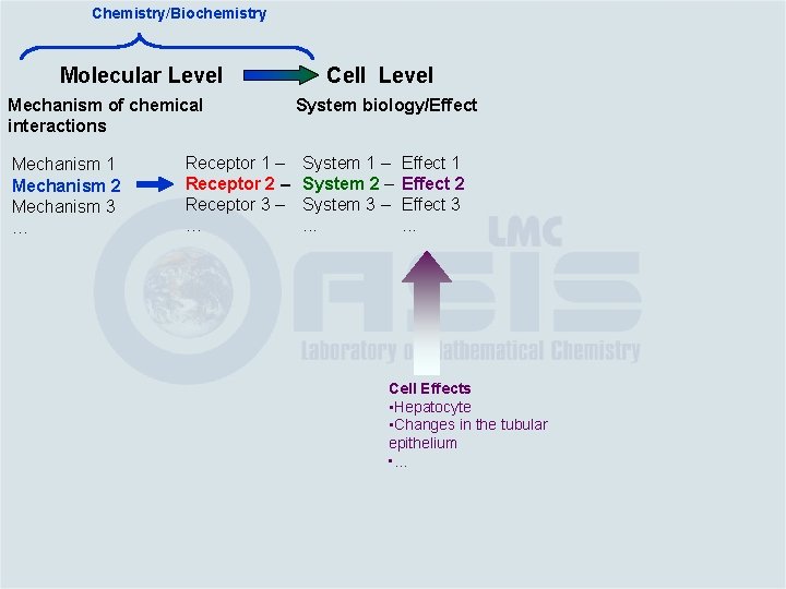 Chemistry/Biochemistry Molecular Level Mechanism of chemical interactions Mechanism 1 Mechanism 2 Mechanism 3 …