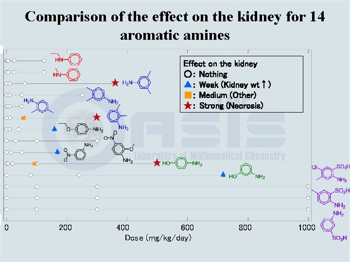 Comparison of the effect on the kidney for 14 aromatic amines Effect on the