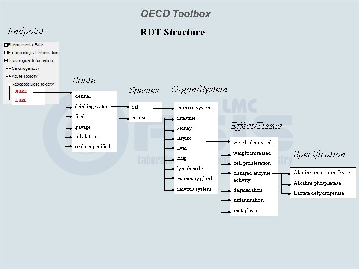 OECD Toolbox Endpoint RDT Structure Route NOEL LOEL dermal Species Organ/System drinking water rat