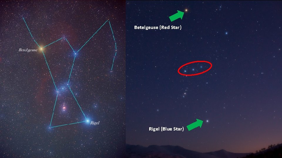 Betelgeuse (Red Star) Rigel (Blue Star) 