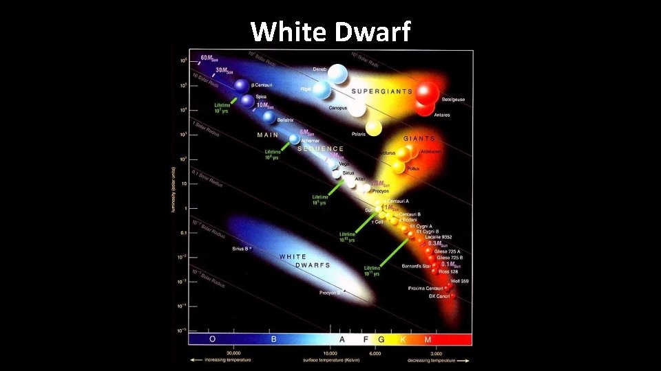 White Dwarf 