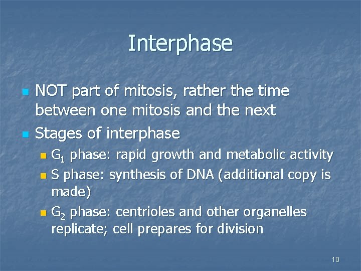 Interphase n n NOT part of mitosis, rather the time between one mitosis and