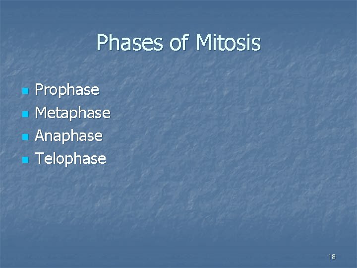 Phases of Mitosis n n Prophase Metaphase Anaphase Telophase 18 