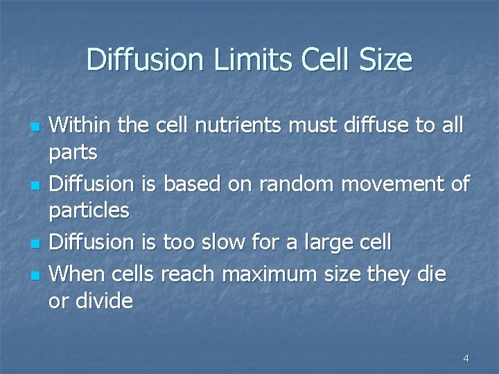 Diffusion Limits Cell Size n n Within the cell nutrients must diffuse to all