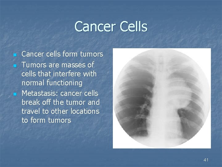Cancer Cells n n n Cancer cells form tumors Tumors are masses of cells