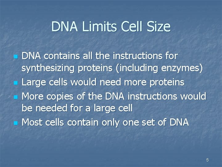 DNA Limits Cell Size n n DNA contains all the instructions for synthesizing proteins
