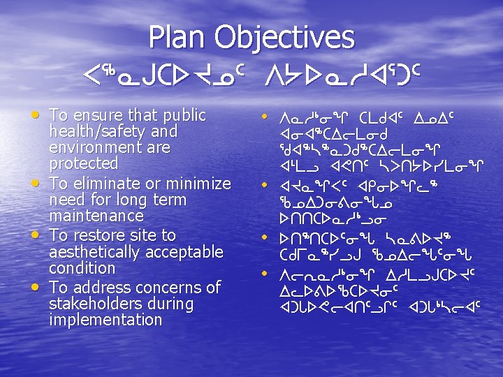Plan Objectives X 6 NAbs. Jk 5 W/s. Nhx 3 g 5 • To