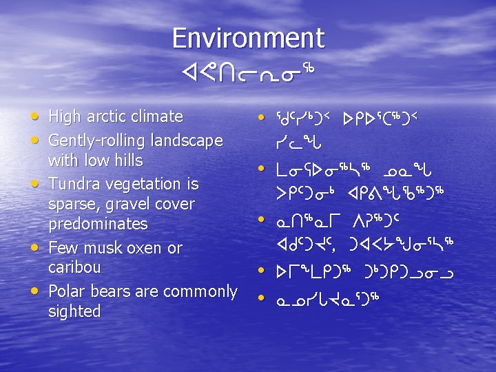 Environment x? to. Ei 6 • High arctic climate • Gently-rolling landscape • •