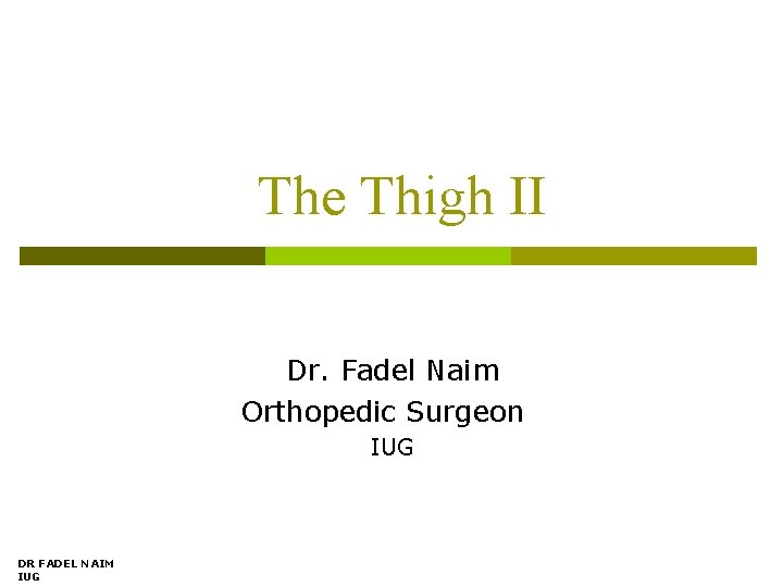 The Thigh II Dr. Fadel Naim Orthopedic Surgeon IUG DR FADEL NAIM IUG 