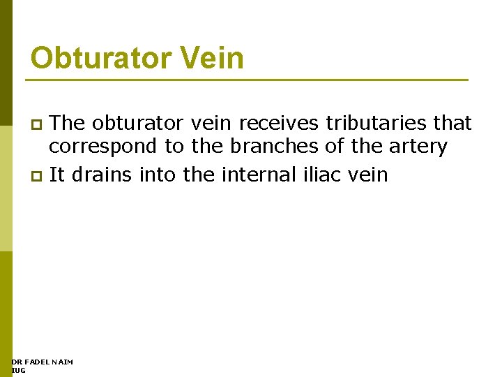 Obturator Vein The obturator vein receives tributaries that correspond to the branches of the