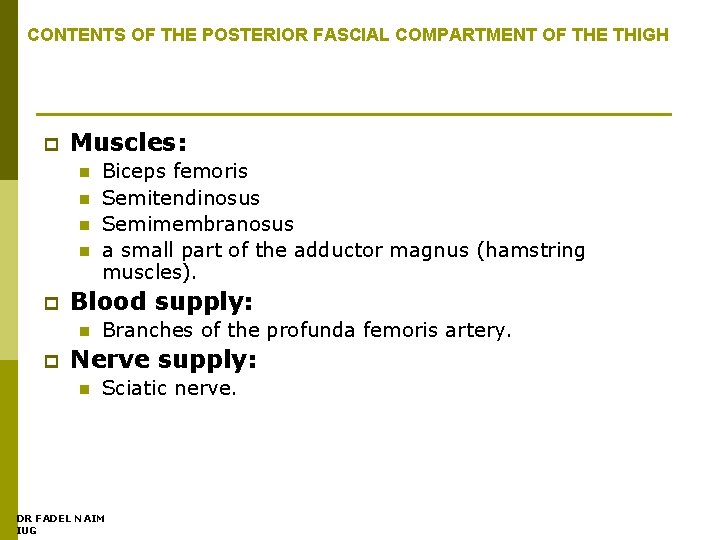 CONTENTS OF THE POSTERIOR FASCIAL COMPARTMENT OF THE THIGH p Muscles: n n p