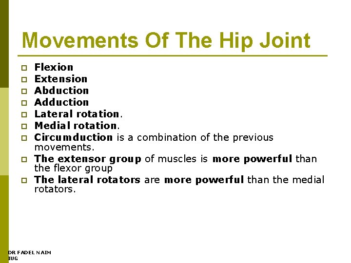 Movements Of The Hip Joint p p p p p Flexion Extension Abduction Adduction