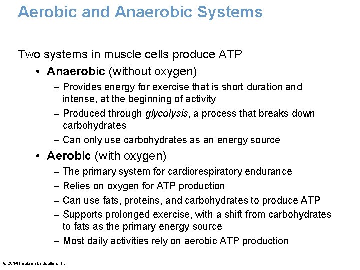 Aerobic and Anaerobic Systems Two systems in muscle cells produce ATP • Anaerobic (without