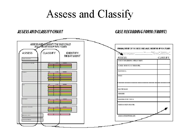 Assess and Classify 