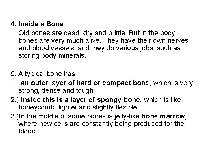 4. Inside a Bone Old bones are dead, dry and brittle. But in the