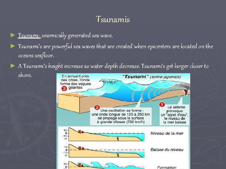 Tsunamis ► Tsunami- seismically generated sea wave. ► Tsunami’s are powerful sea waves that